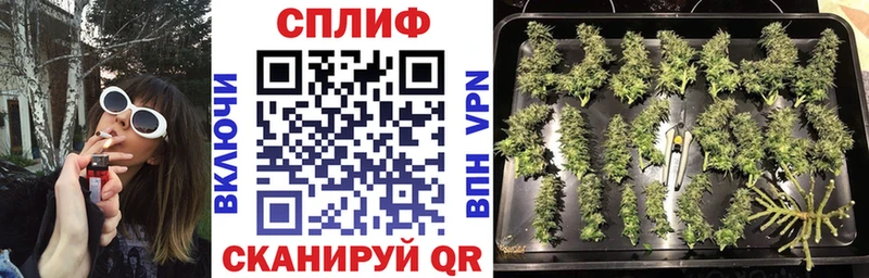 МАРИХУАНА OG Kush  Буй 